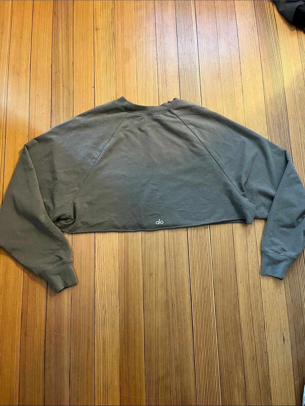 Alo Yoga cropped seeatshirt